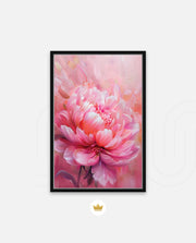 Rosy Peony