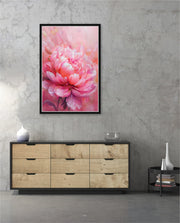 Rosy Peony