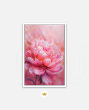 Rosy Peony