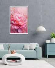 Rosy Peony