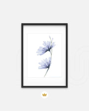 Blue Bloom