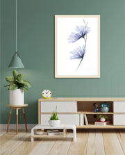 Blue Bloom