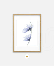 Blue Bloom