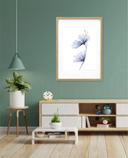 Blue Bloom