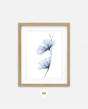 Blue Bloom