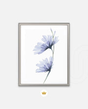 Blue Bloom