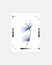Blue Bloom