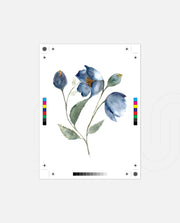Indigo Blossom