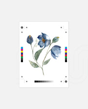 Indigo Blossom