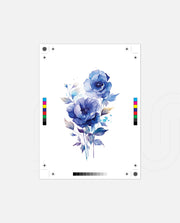 Sapphire Bloom