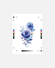 Sapphire Bloom