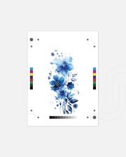 Ocean Bloom