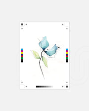 Misty Petal
