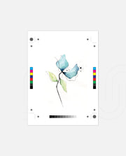 Misty Petal