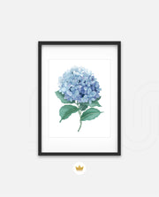Hydrangea Bloom