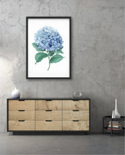 Hydrangea Bloom