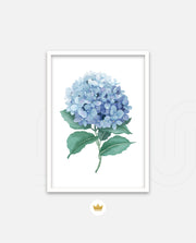 Hydrangea Bloom