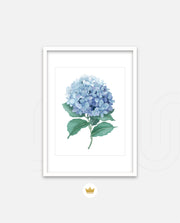 Hydrangea Bloom