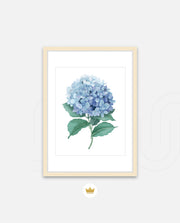 Hydrangea Bloom