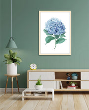 Hydrangea Bloom