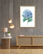 Hydrangea Bloom