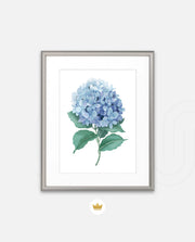 Hydrangea Bloom