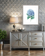 Hydrangea Bloom