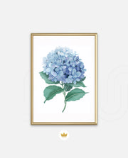 Hydrangea Bloom