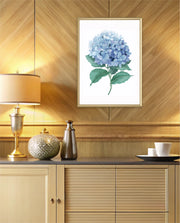 Hydrangea Bloom