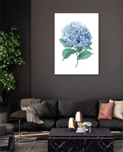 Hydrangea Bloom