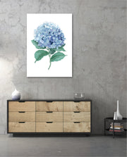 Hydrangea Bloom