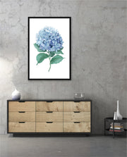 Hydrangea Bloom