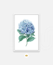 Hydrangea Bloom