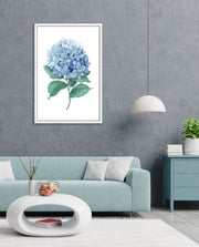 Hydrangea Bloom