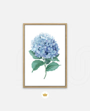 Hydrangea Bloom