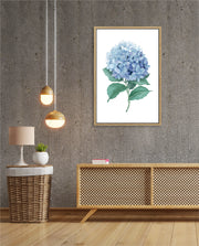 Hydrangea Bloom