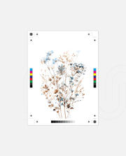 Meadow Whisper