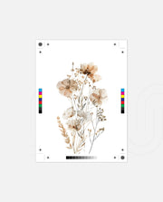 Desert Ivory