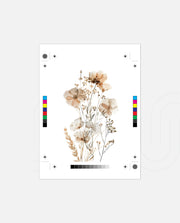 Desert Ivory