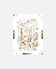 Golden Wildflowers