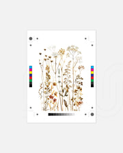 Golden Wildflowers