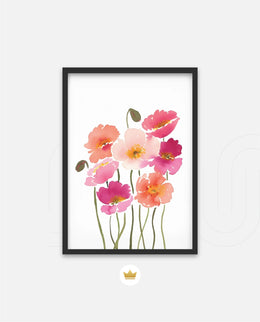 Sunset Poppy