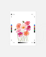 Sunset Poppy