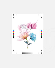 Pastel Bloom Duo