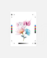 Pastel Bloom Duo