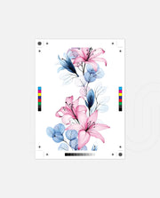 Blush Lily