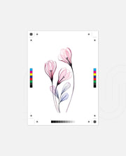 Soft Blush Stems