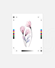 Soft Blush Stems