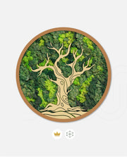 Moss Tree
