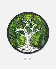 Moss Tree